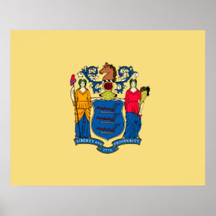 New Jersey State Flag Design Poster