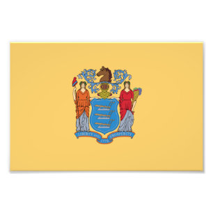 New Jersey State Flag Photo Print