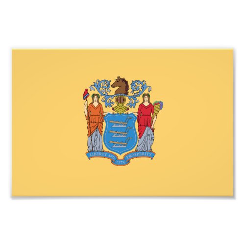 New Jersey State Flag Photo Print