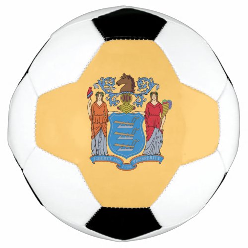 New Jersey State Flag Soccer Ball