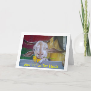 NEW KID ON THE BLOCK-***NEW BABY*** ANNOUNCEMENT