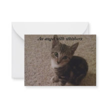 New Kitten Card