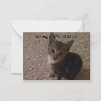 New Kitten Card