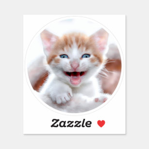 New Kitten Circle Shape Photo Sticker