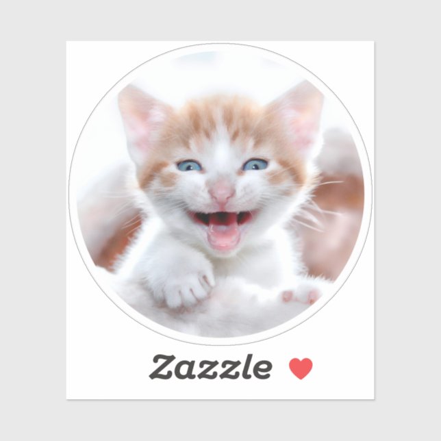 New Kitten Circle Shape Photo Sticker (Sheet)