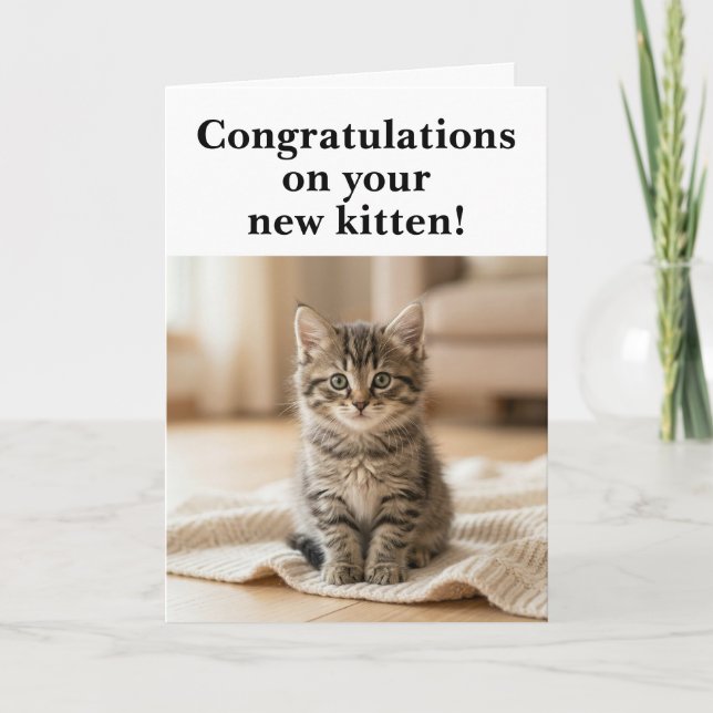 New Kitten Congratulations Sweet Sentimental Card (Front)