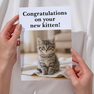 New Kitten Congratulations Sweet Sentimental Card