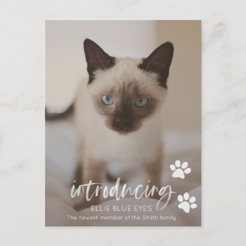 New Kitten or Cat Announcement Card