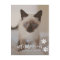 New Kitten or Cat Announcement Card