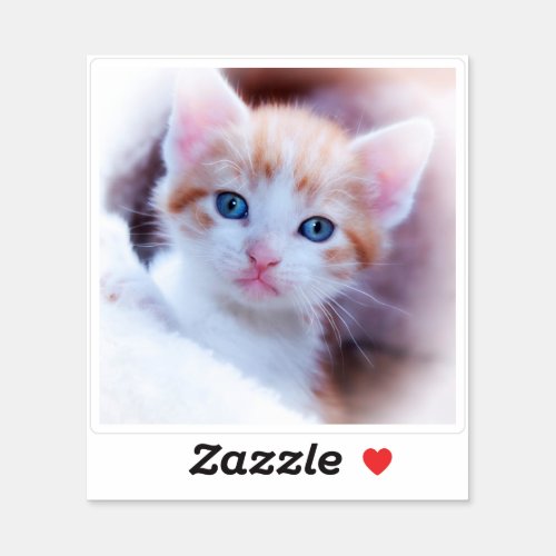 New Kitten Square Shape Photo Sticker
