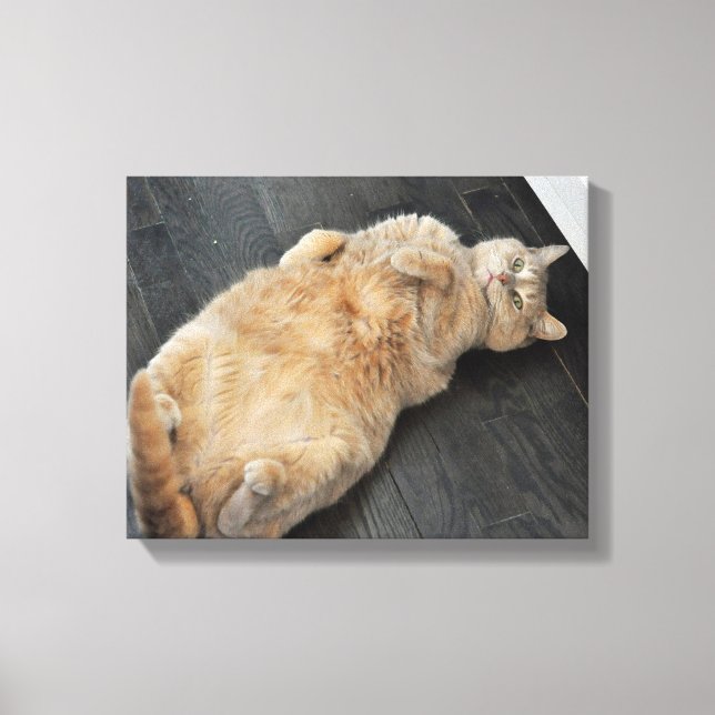 New Kitty, cat on her back, Tabby Canvas Print (Front)