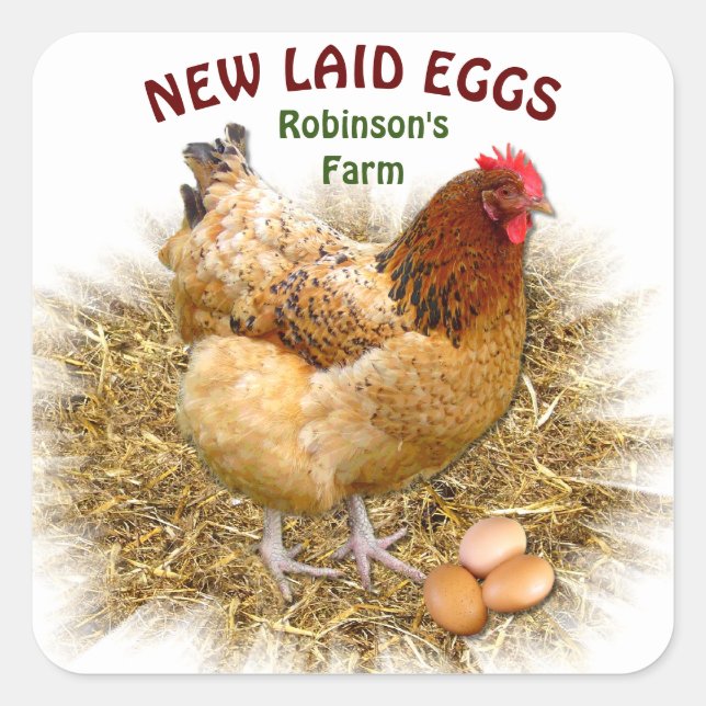 NEW LAID EGGS SQUARE STICKER (Front)