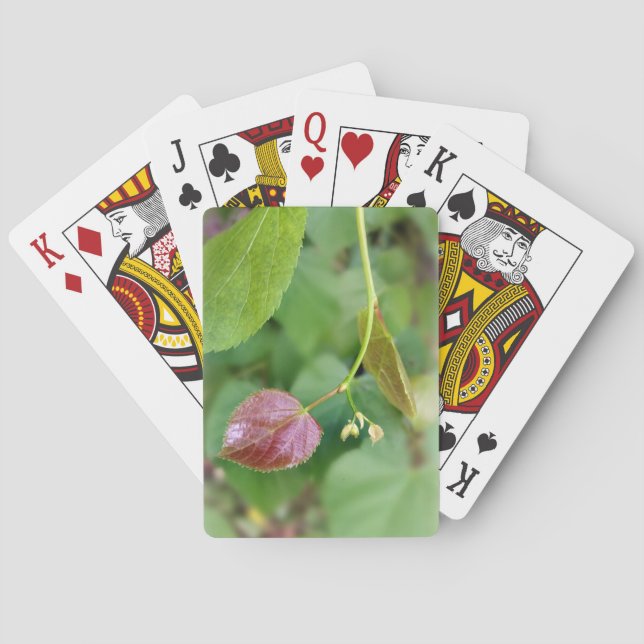 new leaf spring poker cards (Back)