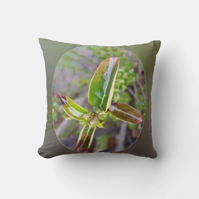 new leaves in spring throw pillow (Front)
