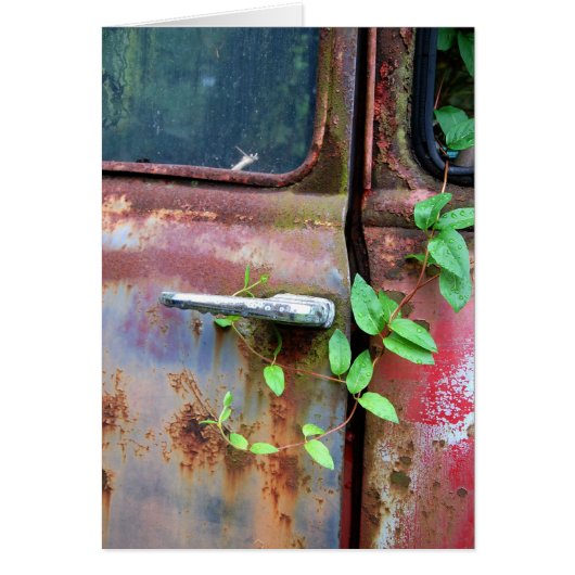New Life Cards (Front)
