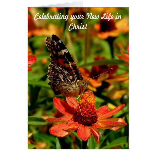 New life in Christ Cards (Front)