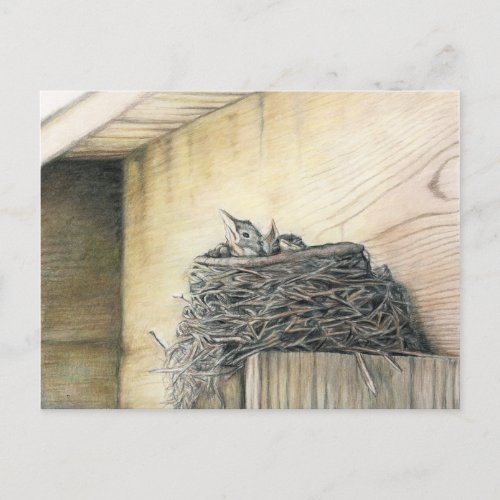 New Life Under Deck Robins Nest Art Postcard