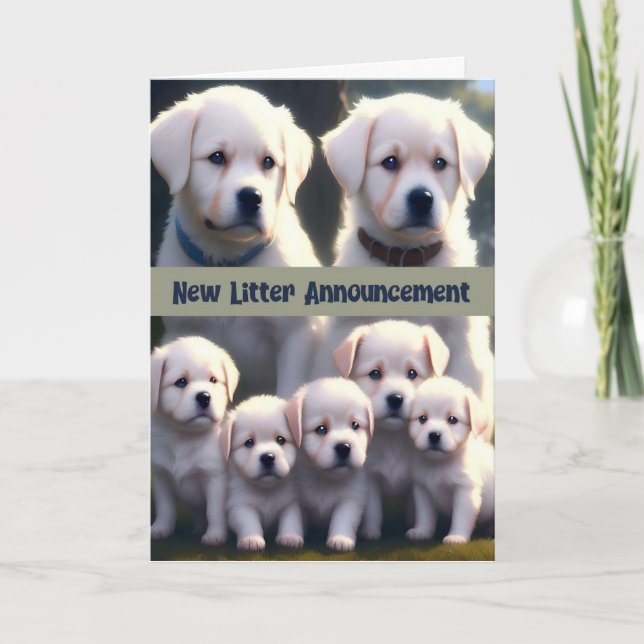 New Litter Announcement White Dogs (Front)