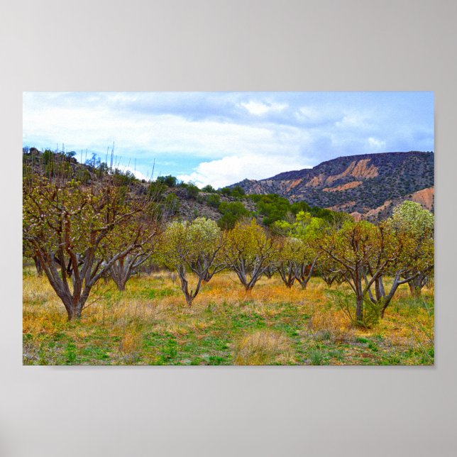 New Mexico Apple Orchard in Bloom Poster (Front)