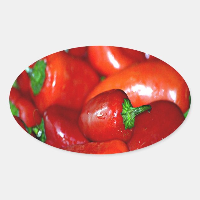 New Mexico Chili Peppers (Chile) Oval Sticker (Front)