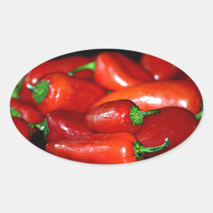 New Mexico Chili Peppers (Chile) Oval Sticker