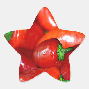 New Mexico Chili Peppers (Chile) Star Sticker