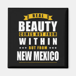New Mexico - Funny D City Gift  Magnet