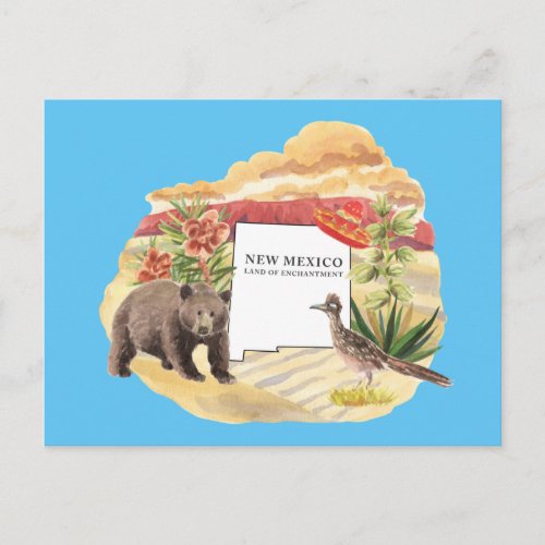 New Mexico Land of Enchantment Souvenir Postcard