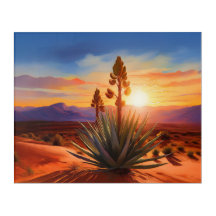 New Mexico Land Of Enchantment Yucca Desert 