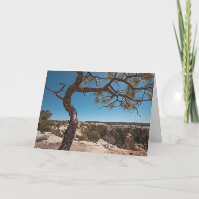 New Mexico Landscape Photo Card (Front)