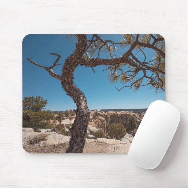 New Mexico Landscape Photo Mouse Pad (With Mouse)