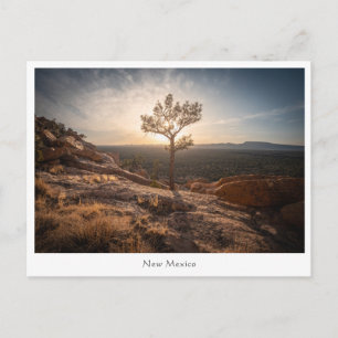 New Mexico Landscape Photo Postcard