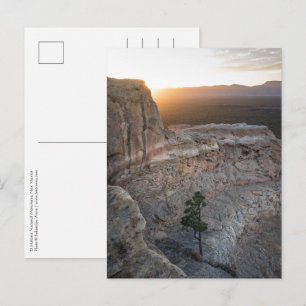 New Mexico Landscape Photo Postcard