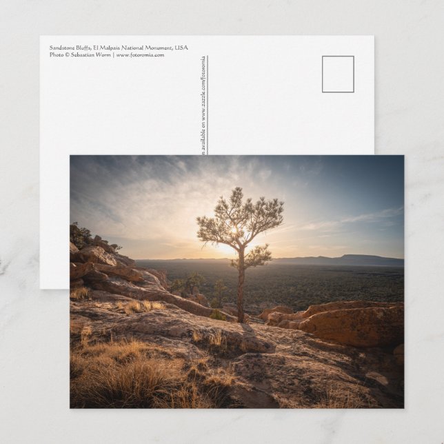 New Mexico Landscape Photo Postcard (Front/Back)