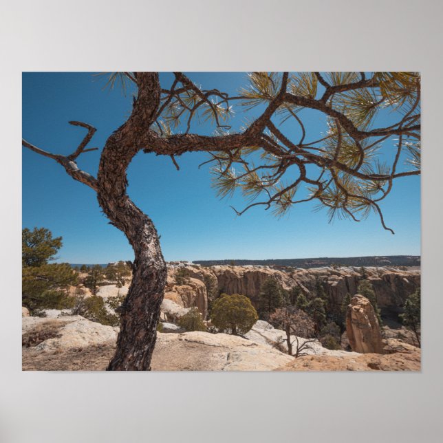New Mexico Landscape Photo Poster (Front)
