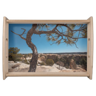 New Mexico Landscape Photo Serving Tray