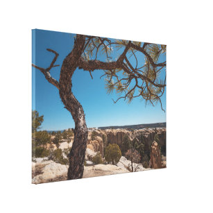 New Mexico Landscape Photograph Canvas Print