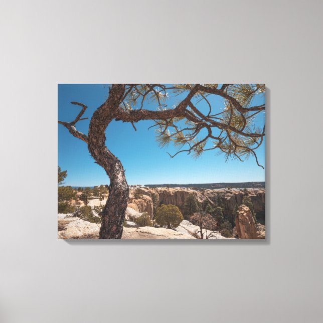 New Mexico Landscape Photograph Canvas Print (Front)