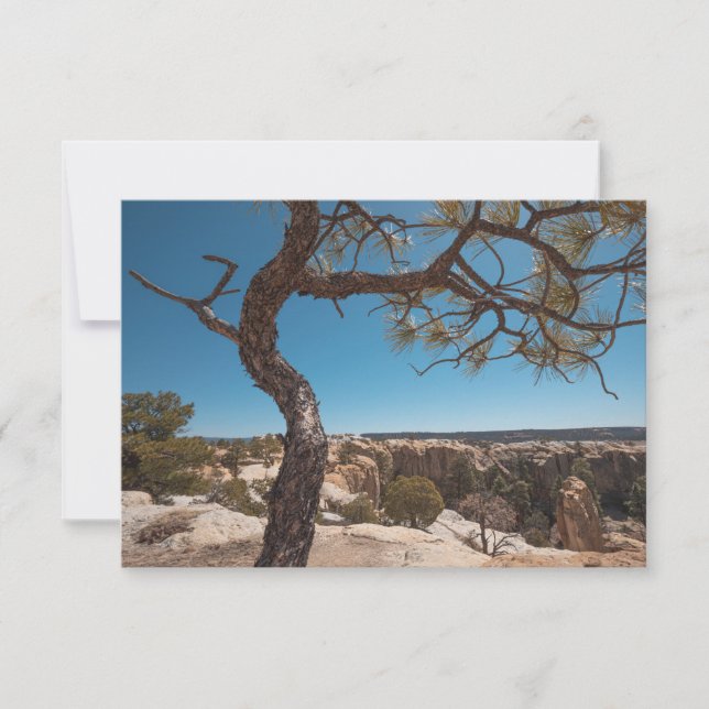 New Mexico Landscape Photograph Card (Front)