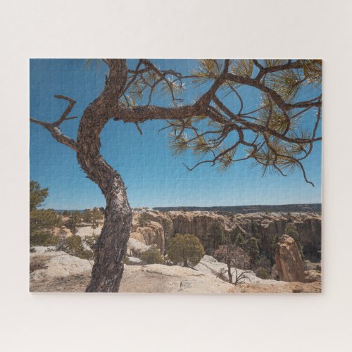 New Mexico Landscape Photograph Jigsaw Puzzle