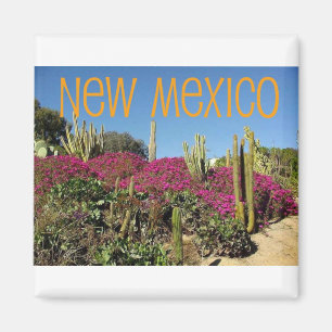 New Mexico Magnet