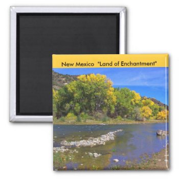 New Mexico Magnet by Rebecca_Reeder at Zazzle