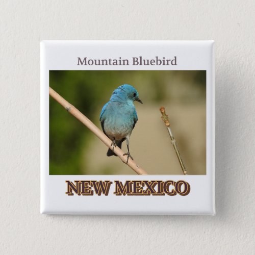 New Mexico Mountain Blue bird photograph Button