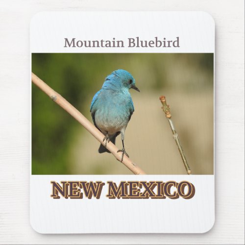 New Mexico Mountain Blue bird photograph Mouse Pad
