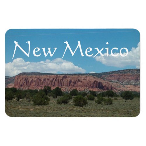 New Mexico Mountain landscape  Magnet