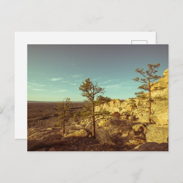 New Mexico Postcard (Front/Back)