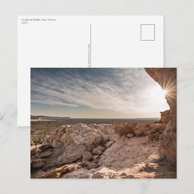 New Mexico Postcard (Front/Back)
