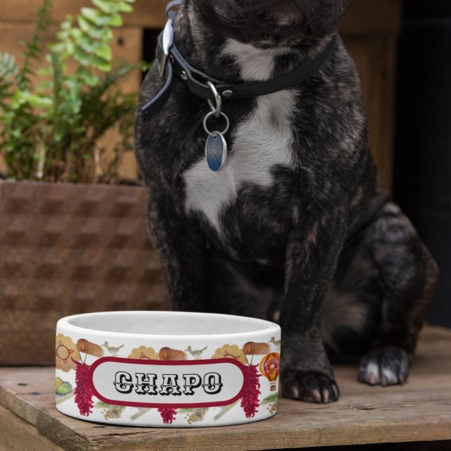 New Mexico Red Chile Pinõn Zia Hot Air Balloon  Bowl (Creator Uploaded)