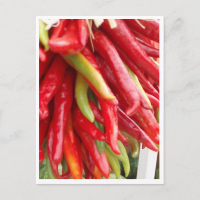 New Mexico Red Chili Postcard (Front)