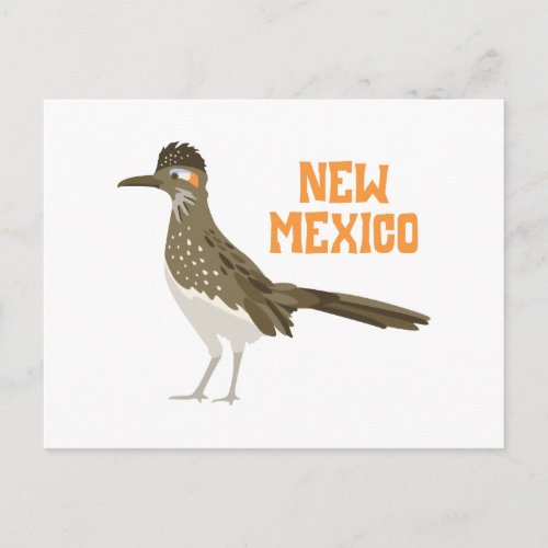 New Mexico Roadrunner Postcard